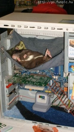 ATT3.jpg