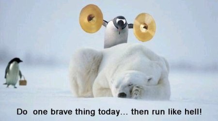 brave_then_run.jpg brave_then_run.jpg