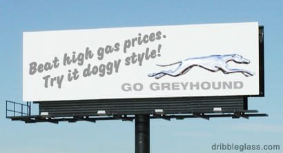 grayhound.jpg grayhound.jpg