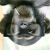 brbmn.gif brbmn.gif