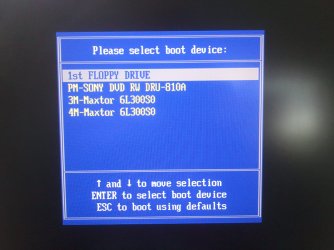 2010-11-01 13.39.28.jpg