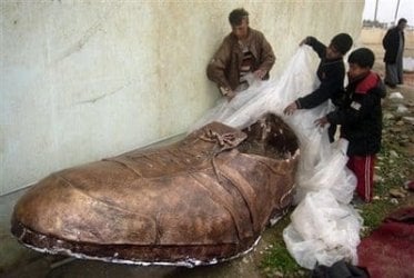 shoe2.jpg