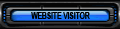 webvisitor1.png