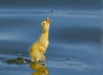Walk_on_Water.jpg
