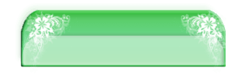 bg2 copy.png