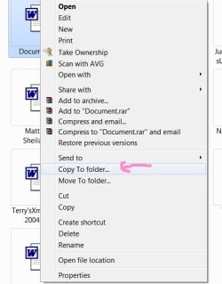 Copy to Folder..jpg