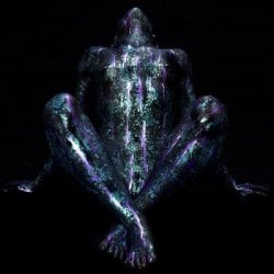 80804250.jpg