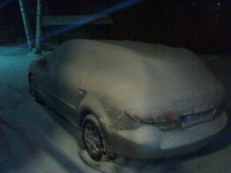31102006347.jpg