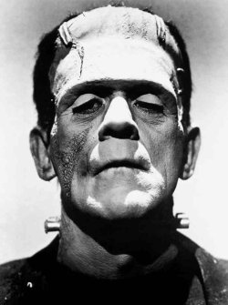 frankenstein_monster_boris_karloff.jpg frankenstein_monster_boris_karloff.jpg