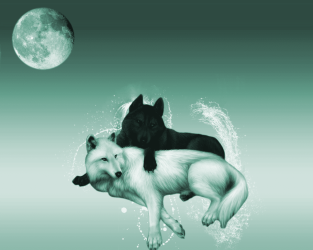 wolwes wall copy.png