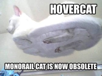81172999.jpg