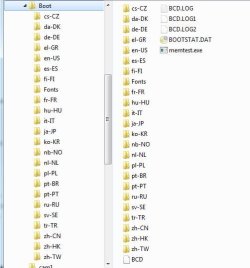 BCD Store Revealed.jpg