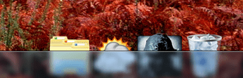 dock.PNG