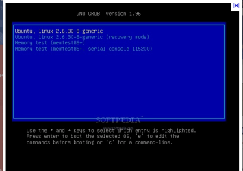 grub 2.PNG
