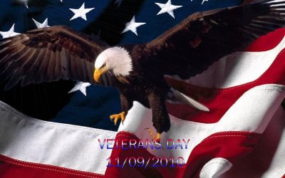 Vet days.jpg Vet days.jpg