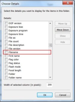 filename.jpg