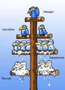Flow chart.jpg