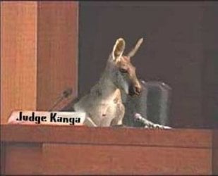 judge kanga.jpg judge kanga.jpg