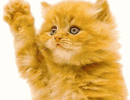 just wanted to say hi.gif
