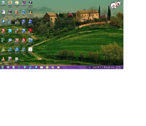startup screen.jpg