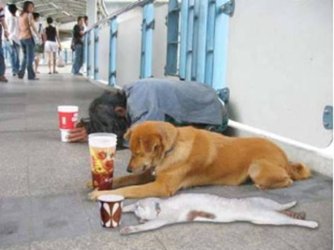 give thanks.jpg