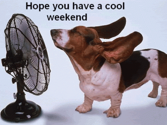 weekend-comments38.gif weekend-comments38.gif