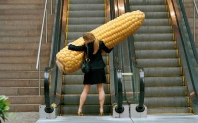 giantcornin8.jpg
