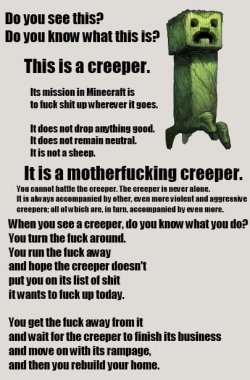MinecraftCreeper-noscale.jpg MinecraftCreeper-noscale.jpg