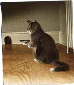 therealtomandjerry.jpg
