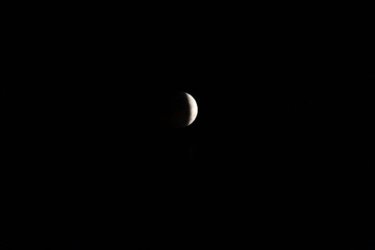 164102_10150143355459202_821214201_7950670_2851325_n.jpg