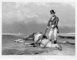 BeatDeadHorse.gif BeatDeadHorse.gif