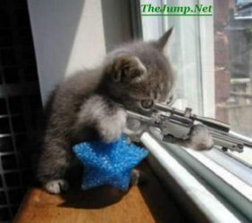 sniper.jpg sniper.jpg