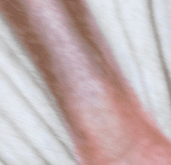 mandrills nose.PNG