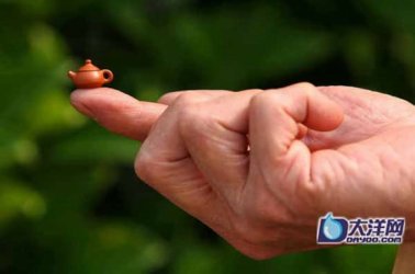 china-smallest-teapot-01.jpg