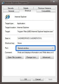 IE Window.JPG