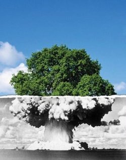 nuketree.jpg nuketree.jpg