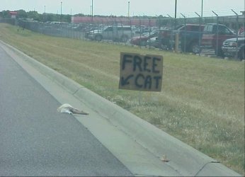 FreeCat-thumb.jpg