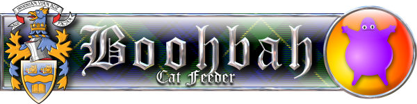 cat.png