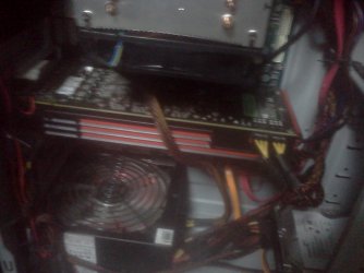 IMG20101204_001.jpg