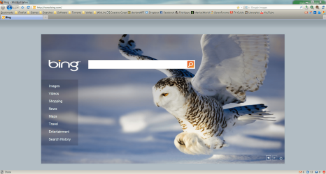 Browser.PNG
