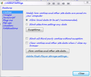 chrome1.PNG