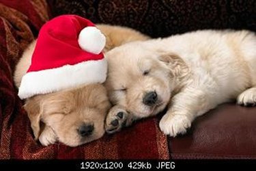 Happy Holidays everyone!.jpg