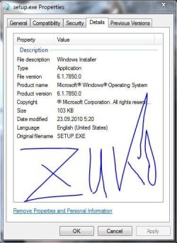 setupExe.jpg setupExe.jpg