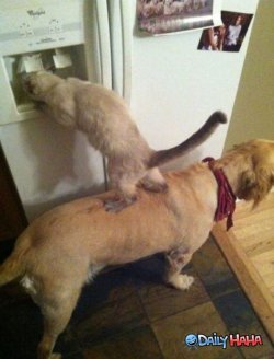 great-teamwork.jpg
