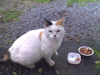 Image005.jpg