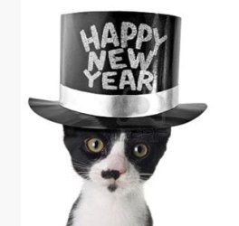 Top_Hat_Kitty.JPG Top_Hat_Kitty.JPG