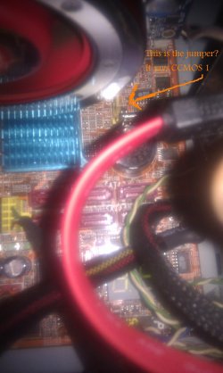 IMAG0019.jpg IMAG0019.jpg