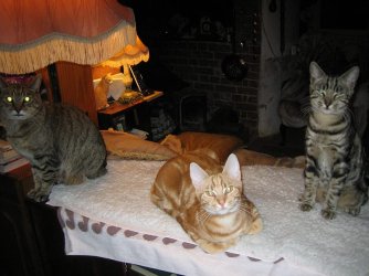 3some.jpg 3some.jpg