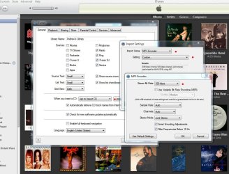 itunes import settings.JPG