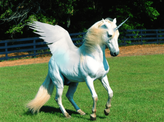 A_real_unicorn__Lol_XD_by_Animals09890.png